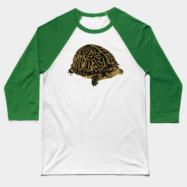 Florida Box Turtle Baseball T-Shirt by stargatedalek